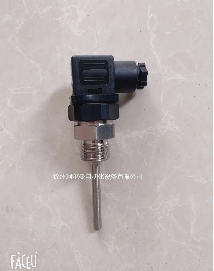 PT100温度传感器KT7-G12.6.50.B