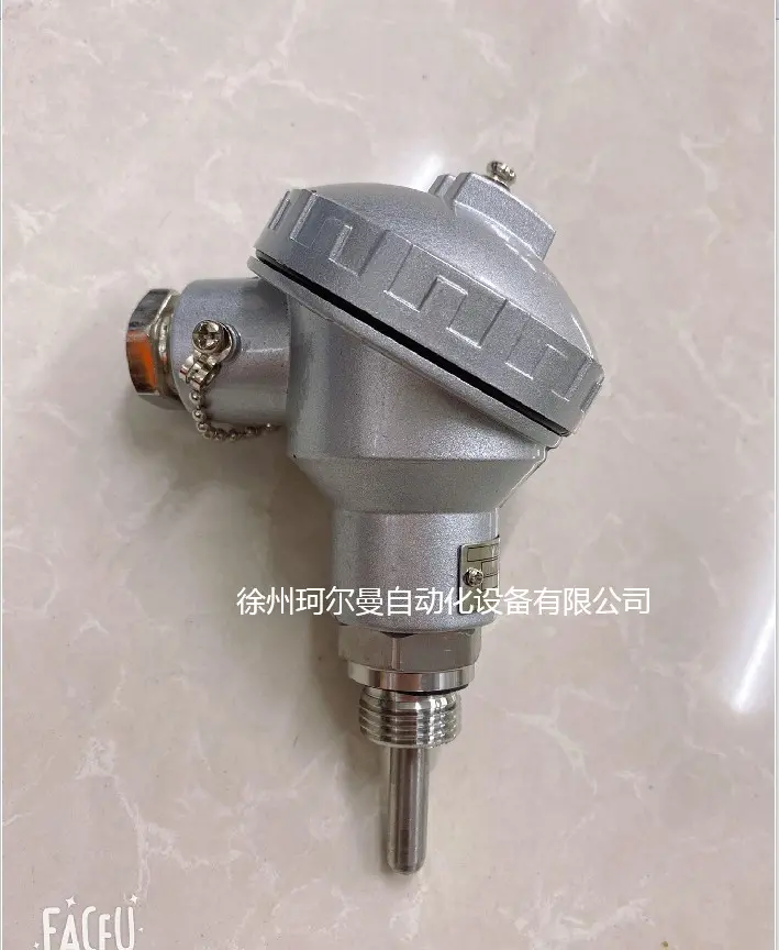 PT100温度传感器KT7-G12.6.50.B - 2