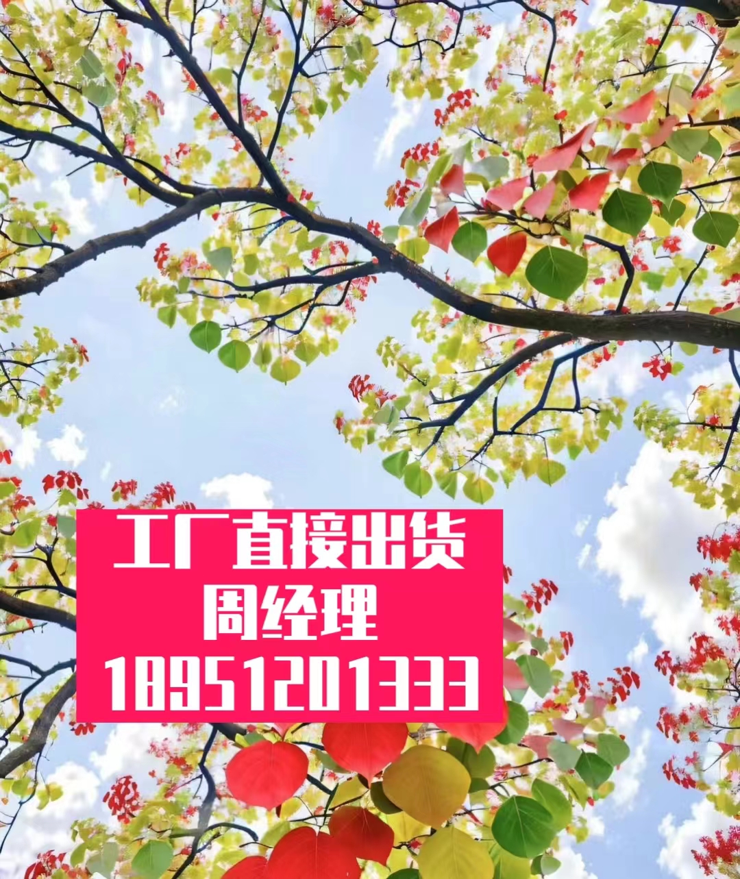 人群手机跌落熔断器中-防滑磨光机防震- - 2
