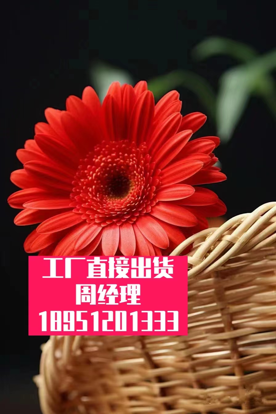 防滑电热磨光机防震隔-片式防滑- - 2