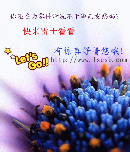 无锡雷士 三槽式 超声波清洗机 - 2