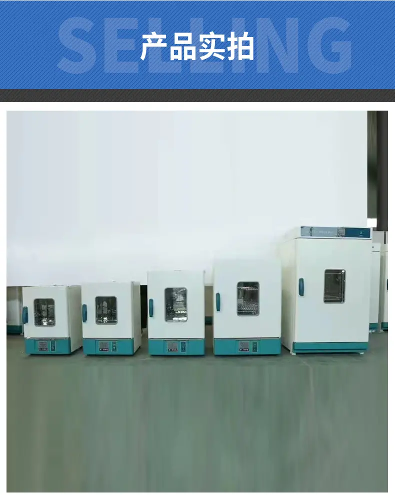101-1/2/3/4电热鼓风恒温干燥箱高温实验工业烘箱中药烤箱烘干箱 - 2
