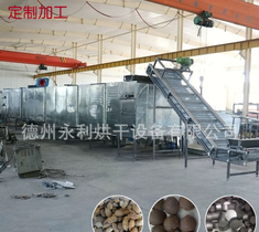大型氧化镁球烘干机 多层带式工业烘干设备