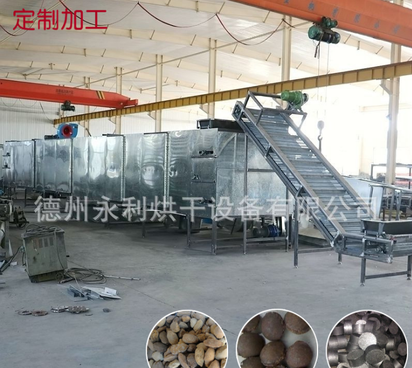 大型氧化镁球烘干机 多层带式工业烘干设备