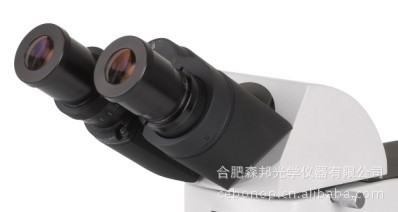 CXY-M双目透射落射照明正置金相显微镜研究金相显微镜教学显微镜 - 3