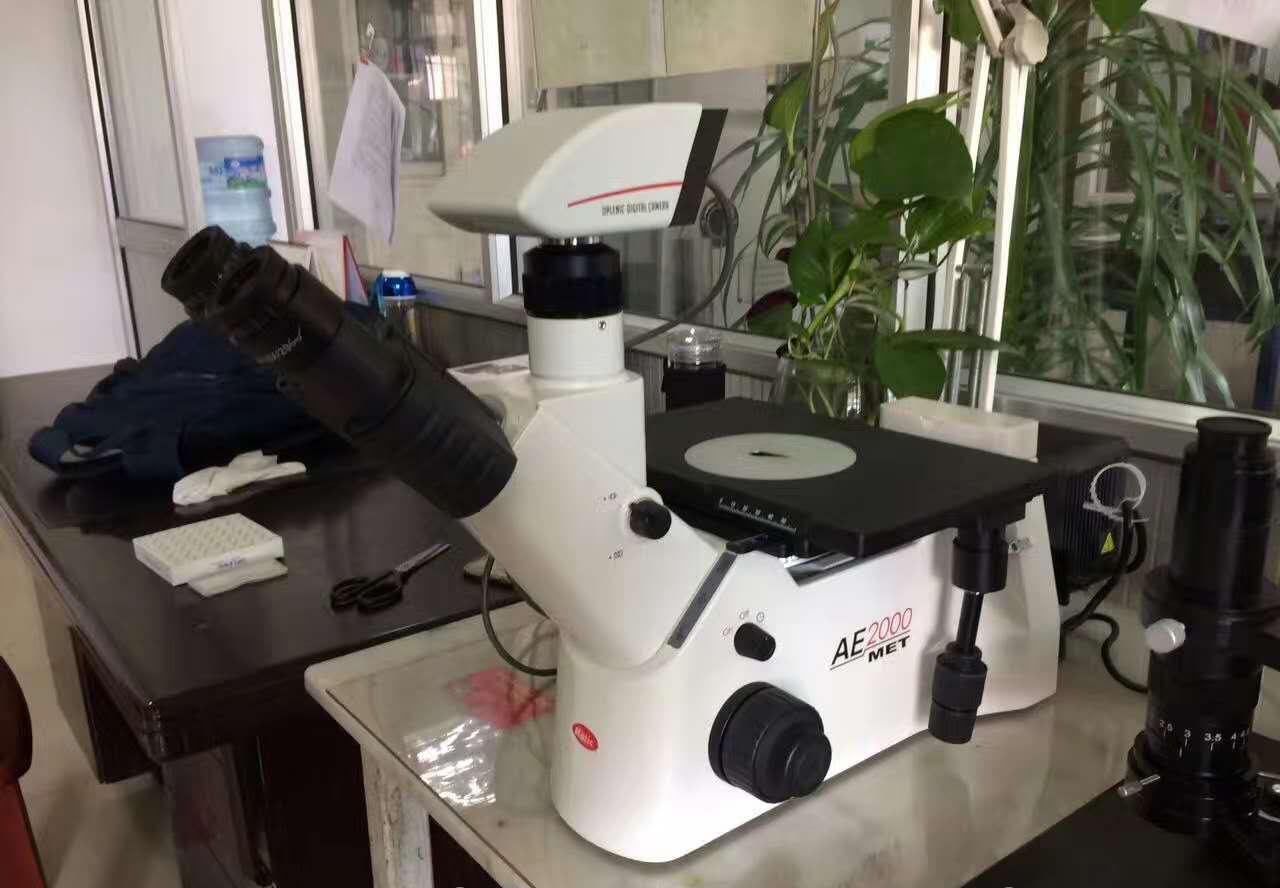 AE2000MET倒置金相显微镜 - 2