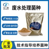 甘度污水处理药剂 电镀废水处理菌好缺氧池降总氮 - 4