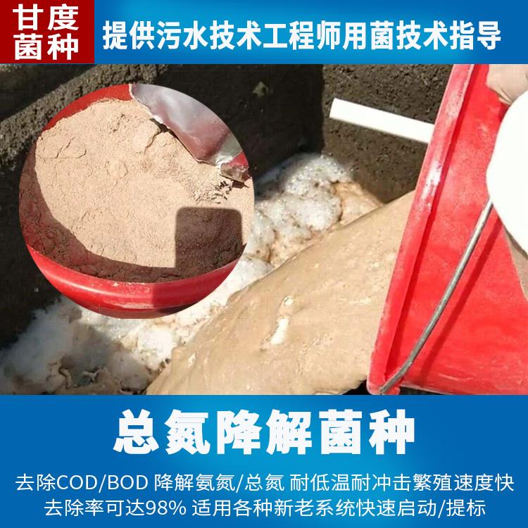 甘度污水处理药剂 电镀废水处理菌好缺氧池降总氮 - 2