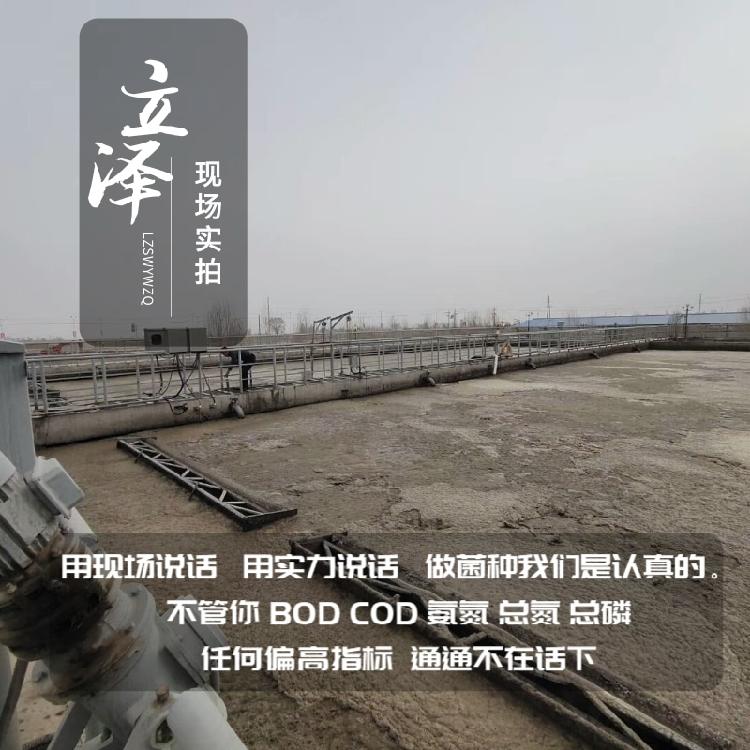 营口污水菌种厂家现货 立泽电镀废水用菌种 免费拿样品
