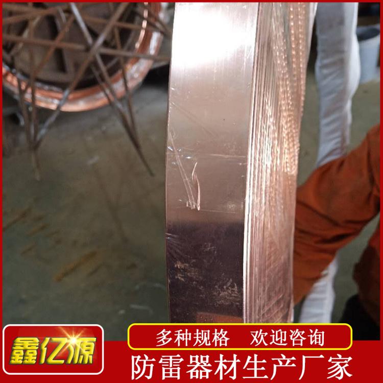 镀铜扁钢产地定做鑫亿源防雷材料 电镀铜接地扁钢 - 4