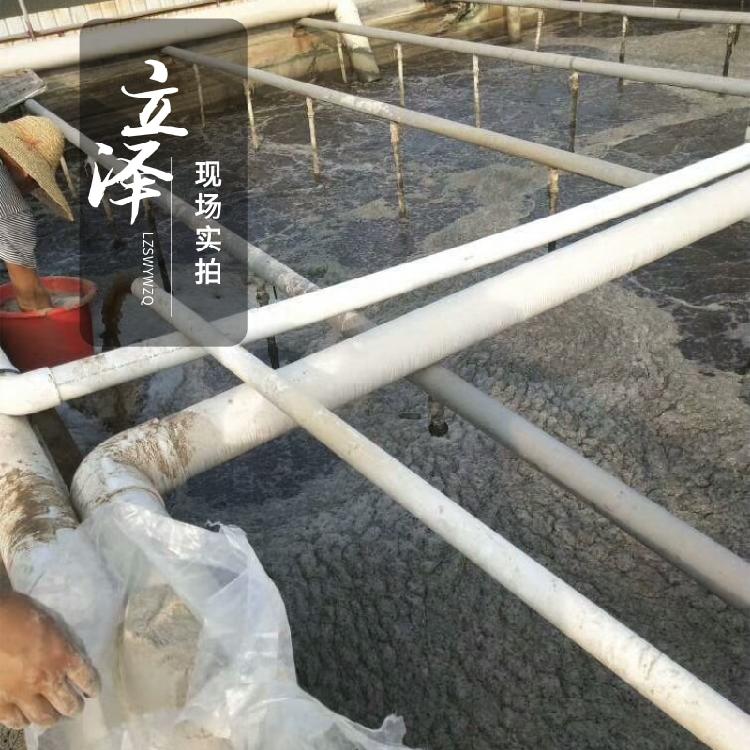 营口污水菌种厂家现货 立泽电镀废水用菌种 免费拿样品