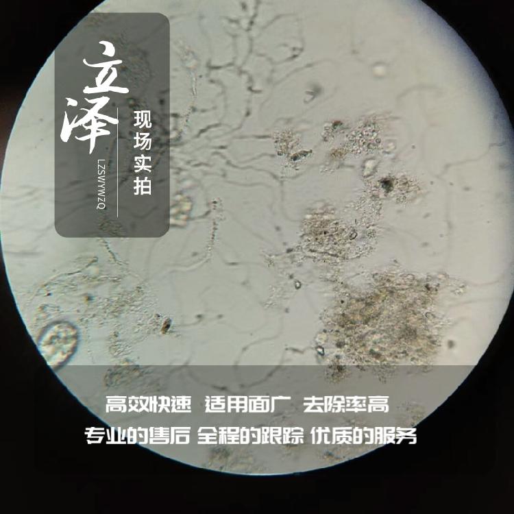 营口污水菌种厂家现货 立泽电镀废水用菌种 免费拿样品 - 2
