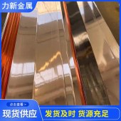 力新镀铜扁钢 40*4镀铜扁铁 50*5铜包钢扁钢 电镀铜接地棒