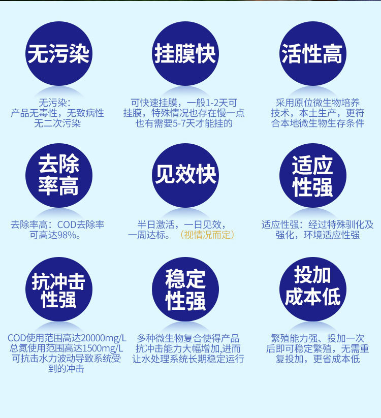 检测报告_05