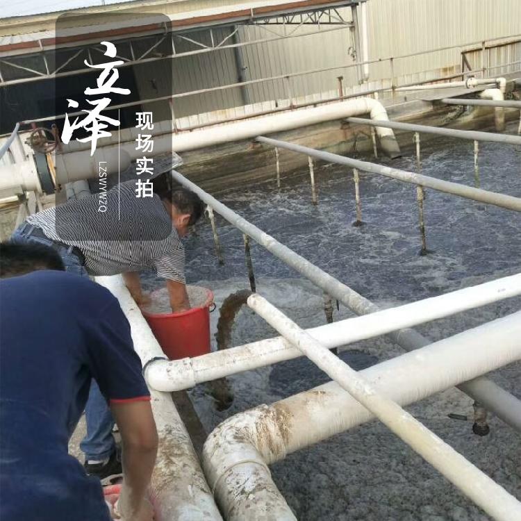营口污水菌种厂家现货 立泽电镀废水用菌种 免费拿样品 - 4