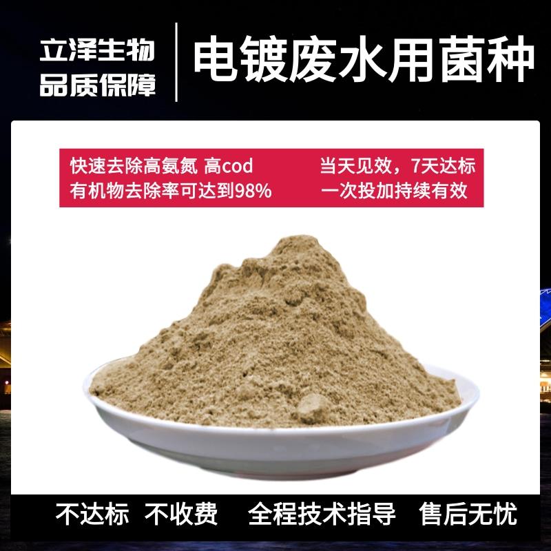 营口污水菌种厂家现货 立泽电镀废水用菌种 免费拿样品
