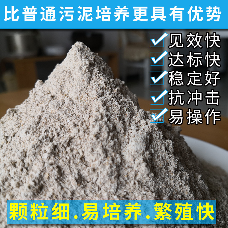 甘度污水处理药剂 电镀废水处理菌好缺氧池降总氮