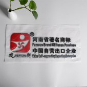 塑料电镀标牌广东韶关厂家定制3D立体英文车标聚焦标牌立体软标牌 - 2