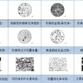 Visifon便携式金相显微镜 - 4