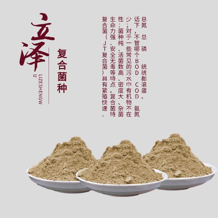 营口污水菌种厂家现货 立泽电镀废水用菌种 免费拿样品
