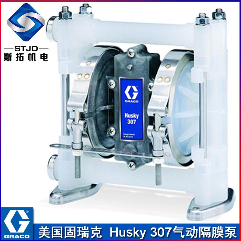 固瑞克husky307 隔膜泵 PP耐酸碱泵 - 2
