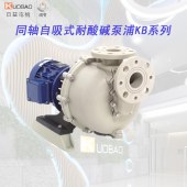 KUOBAO国宝泵-同轴自吸式耐酸碱泵浦KB-40011L性能稳定厂家直销 - 3