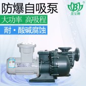 美宝自吸式耐酸碱泵 印染废水用泵厂家现货 量大从优 - 4