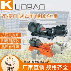 KUOBAO国宝泵 连接自吸式耐酸碱泵浦KCL-40014L 品牌厂家直销