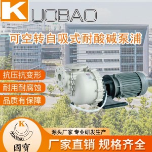 KUOBAO国宝泵-可空转自吸式耐酸碱泵浦KB-40011L品牌厂家直销