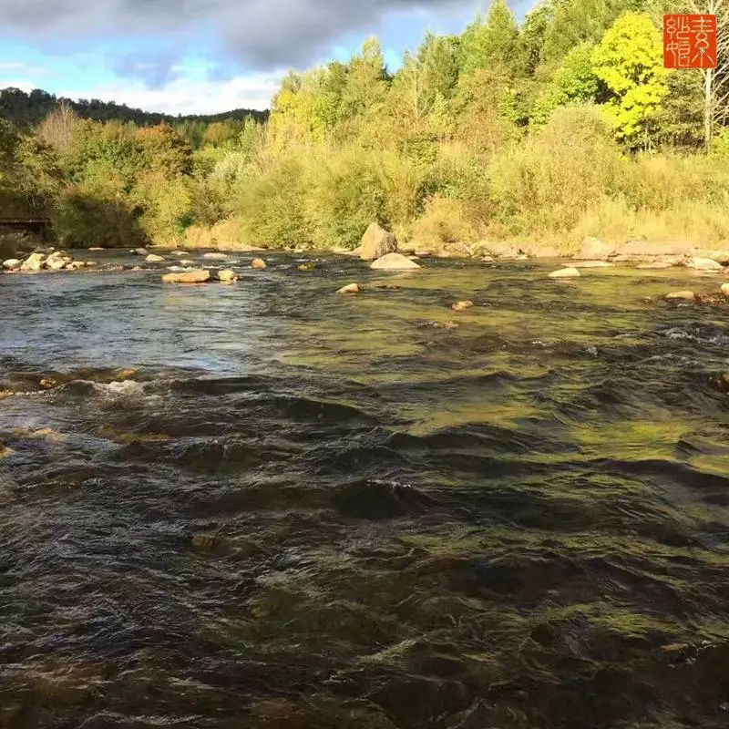 电镀废水贵金属含量检测