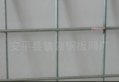电镀锌,热镀锌电焊网(图)