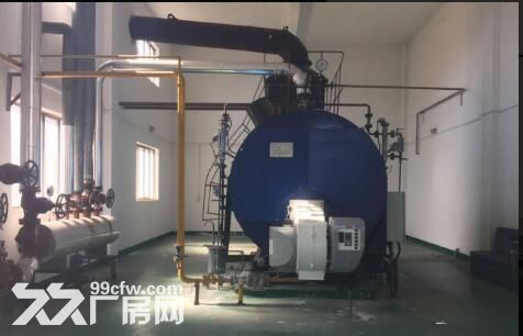 周浦新出12000平 大房东 有环评 适合 生产保健品 制药 - 5