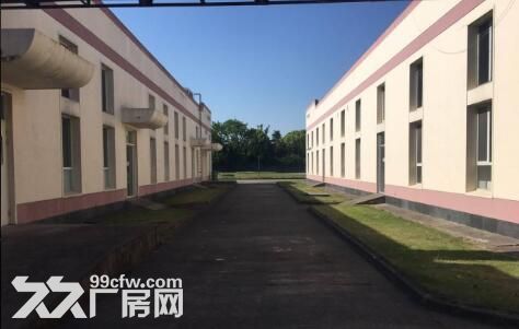 周浦新出12000平 大房东 有环评 适合 生产保健品 制药 - 2