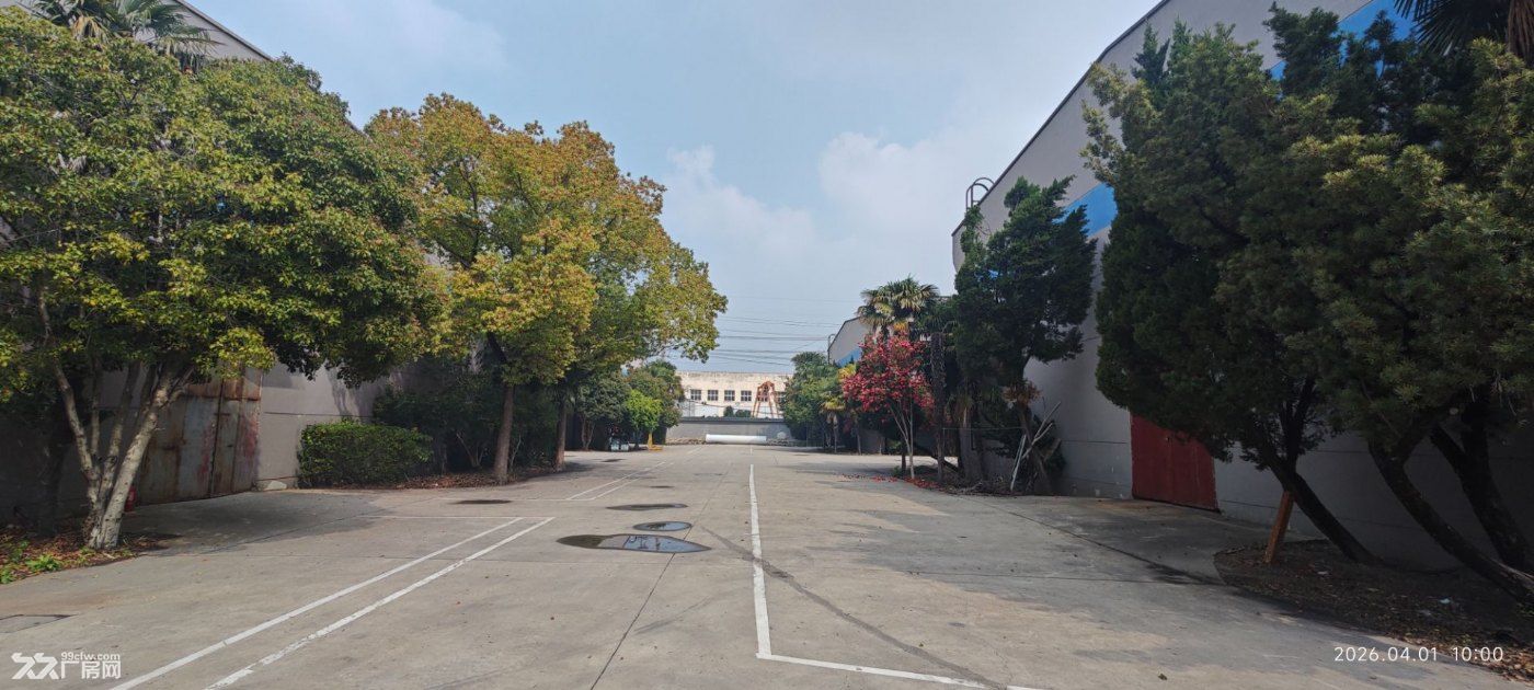 嘉定徐行独门独院单层厂房出租 - 6
