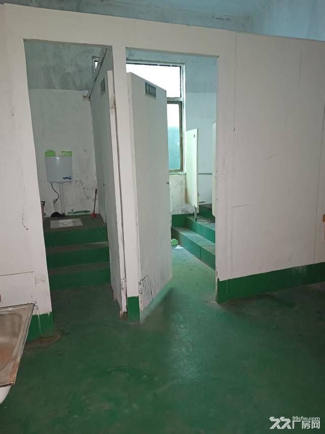奉贤区1438㎡厂房出租 - 8