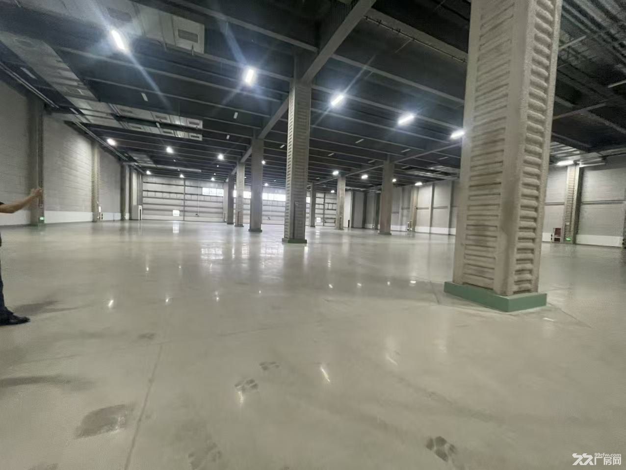 金山廊下高平仓库出租独门独院15000平适合国际物流跨境电商 - 2