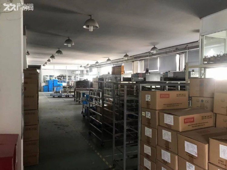 降价急售松江车墩独栋2600平,单价仅5800元/平 - 3