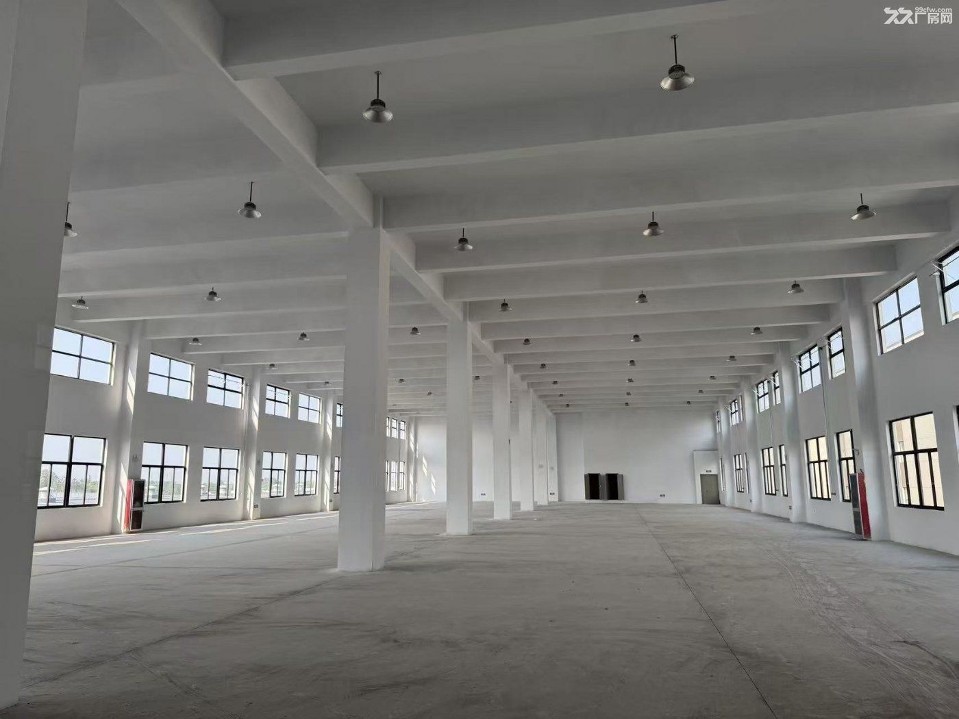 出售松江新桥新建独栋双层厂房2660平高11.5米 - 3
