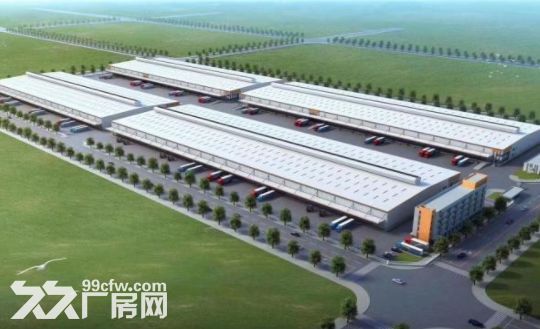 浦东临港新城独门独院13000平米丙二类仓库出租 - 2