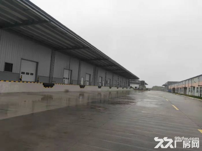 宝山工业区原房东3000-12000平米适合物流电商无税收 - 2