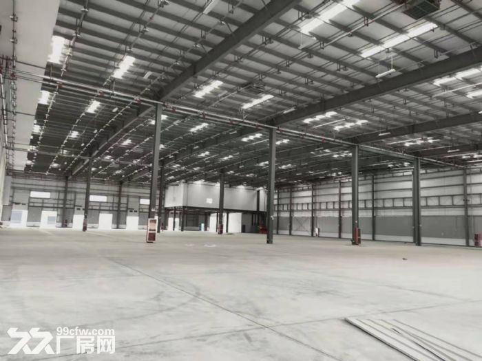 金山石化原房东直租14000平米双边高平台 - 3