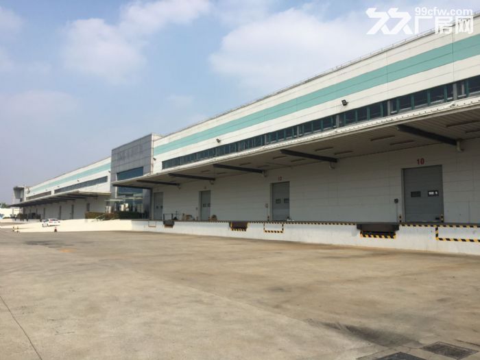 宝山罗店原房东直租3000-13000平米丙二类高平台仓库