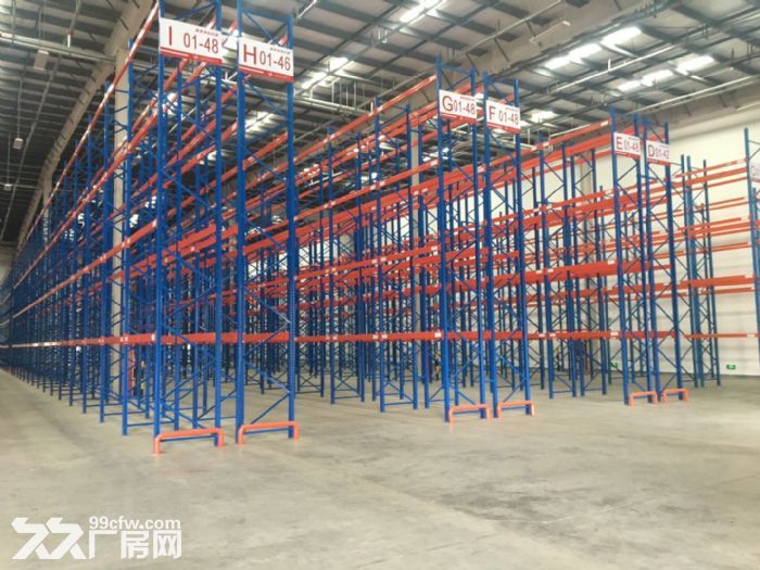 宝山罗店原房东直租3000-13000平米丙二类高平台仓库 - 2