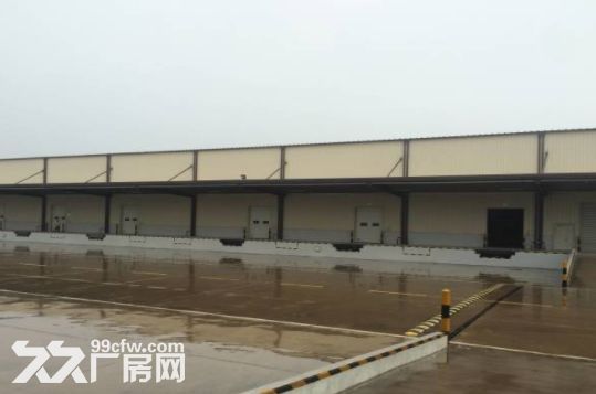 金山亭林工业区2800-16000平米丙二类高平台 - 3