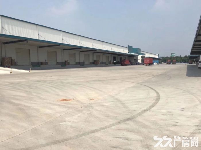 宝山罗店原房东直租3000-13000平米丙二类高平台仓库 - 3