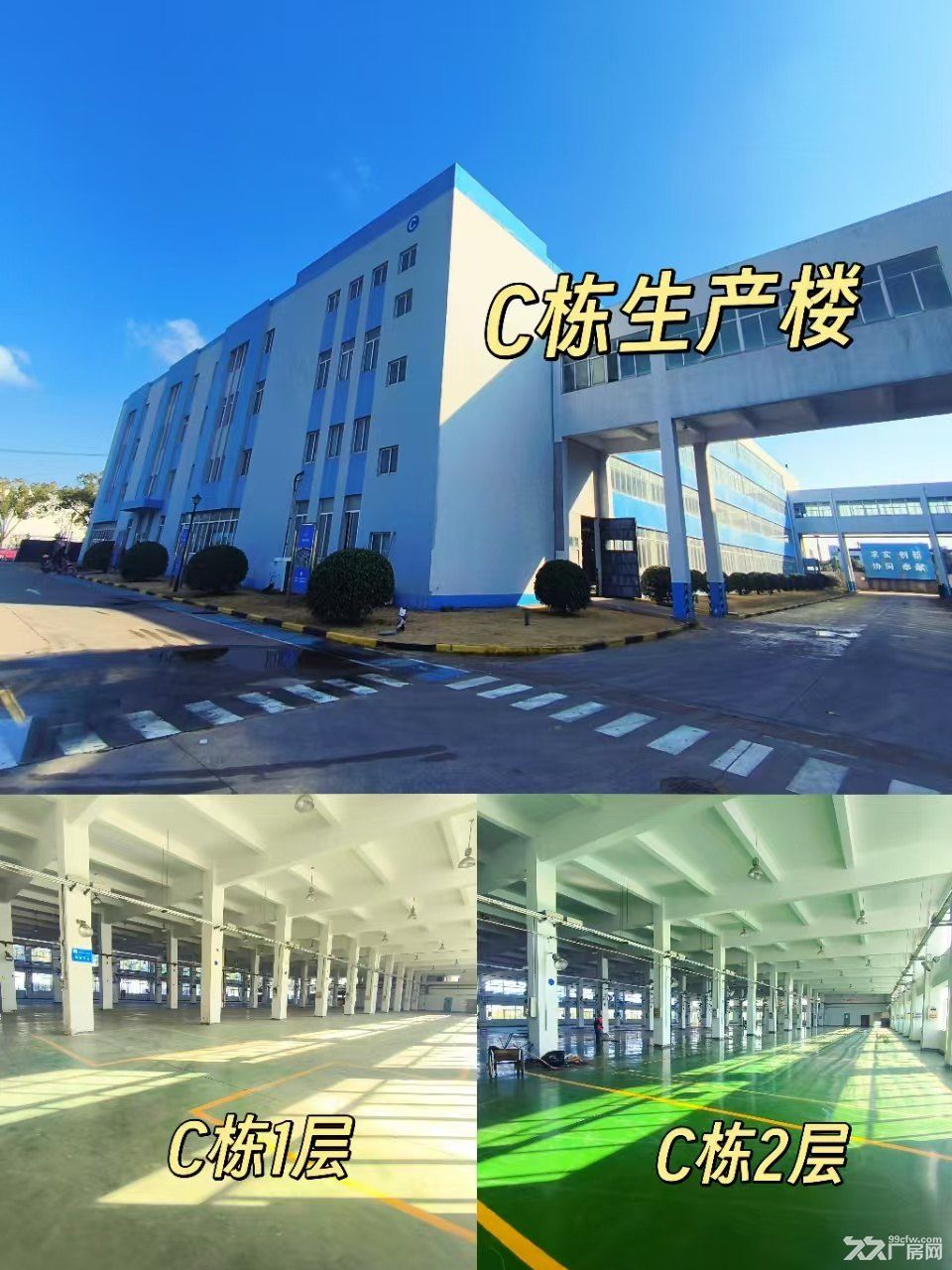 浦东川沙2万平厂房出租,大小面积可分租 - 2