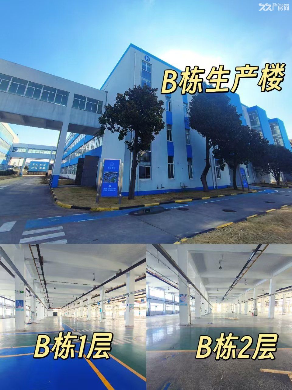 浦东川沙2万平厂房出租,大小面积可分租 - 3