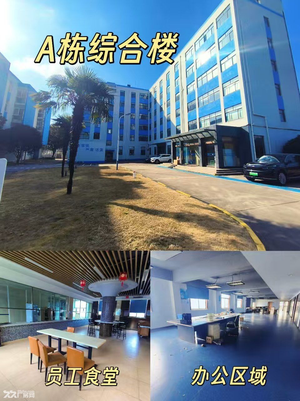 浦东川沙2万平厂房出租,大小面积可分租 - 4
