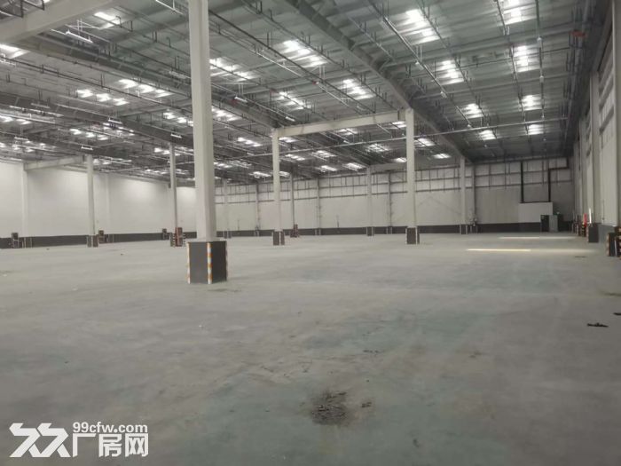 奉贤大叶公路13000平米物流电商仓库直租 - 3