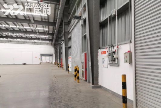 出租松江九亭9000双边平台库层高10米适合物流电商 - 2